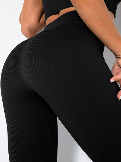 2 Pack Women's Seamless Ribbed Leggings