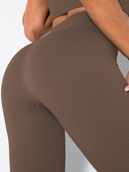 2 Pack Women's Seamless Ribbed Leggings